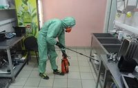 Услуги дезинсекции в Сургуте
